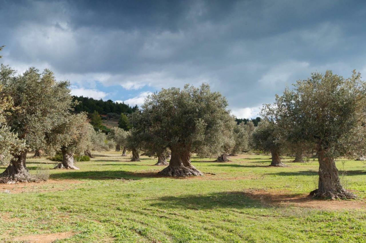 Kouvelia Country Home Luxury Villa Rental Nerotrivia Exterior photo